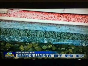 中央電視1臺新聞頻道報道