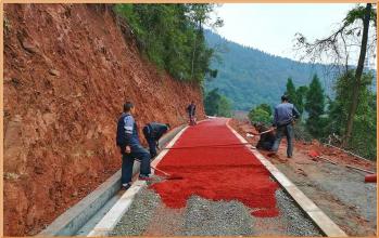 達(dá)州鳳凰山公園7600平米彩色透水路面