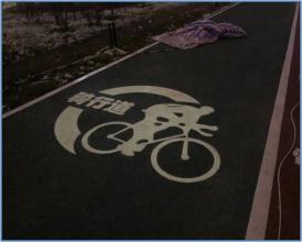 四川南充西河發(fā)光石自行車騎道